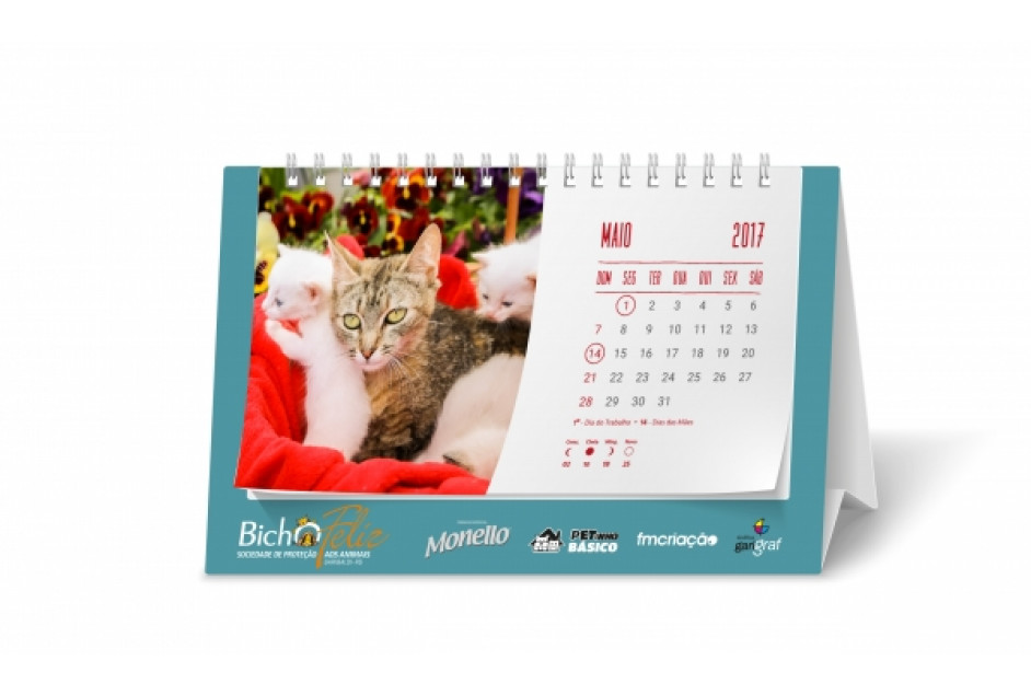 Spa Bicho Feliz lança Calendário 2017