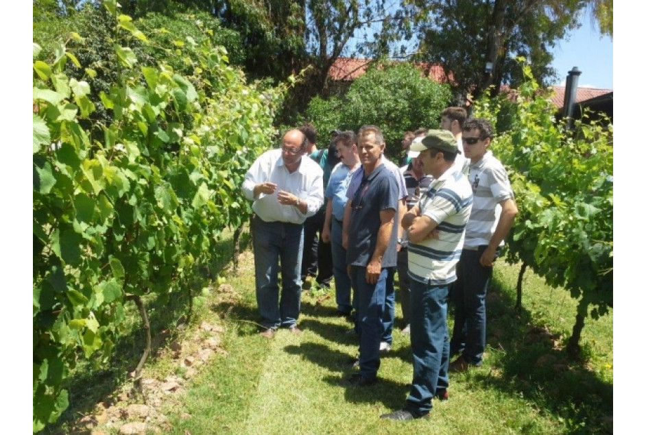 AVIGA realizou missão técnica ao Uruguai