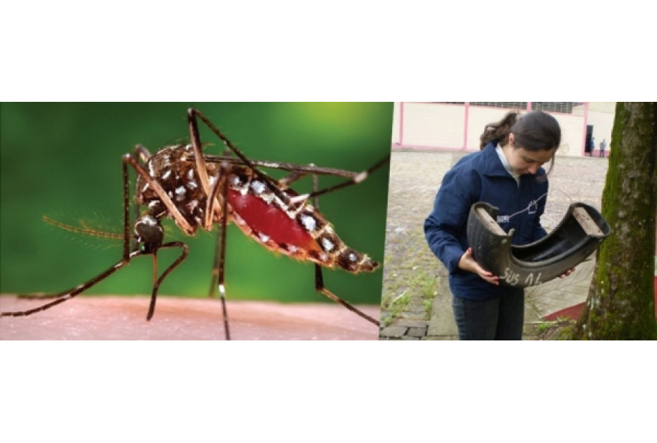 APEME apoia campanha de combate ao mosquito transmissor da dengue