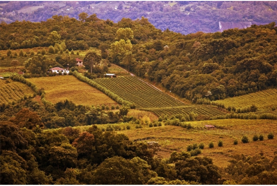 Garibaldi figura como quinto destino turístico gaúcho mais ofertado no Brasil