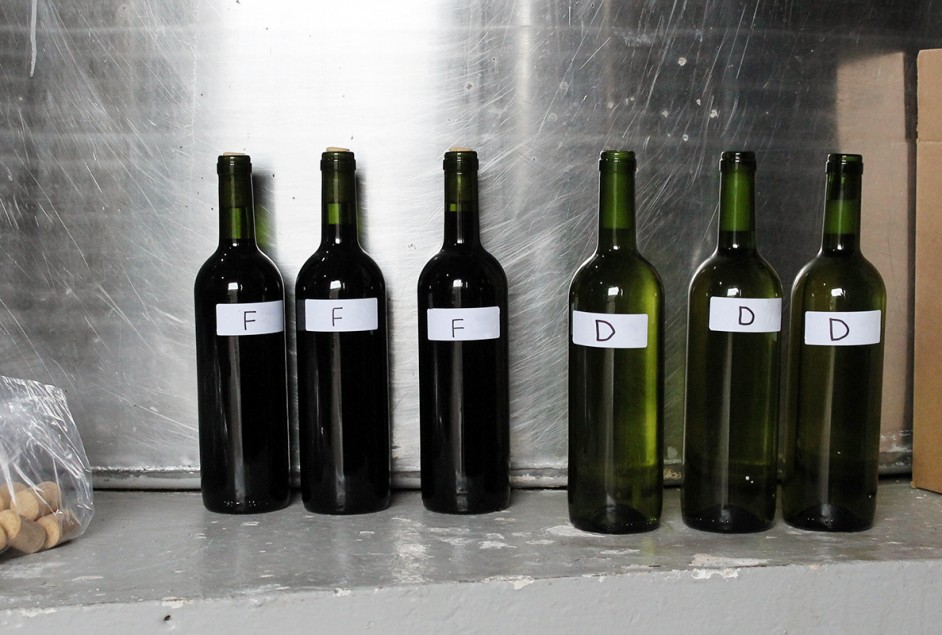 Fotos da 2ª etapa (coleta) e da 3ª etapa (degustações de avaliação) - Créditos: Fernanda De Antoni Farias