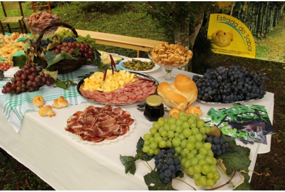 Abertura do Veraneio da Vindima envolve colheita e pisa de uvas