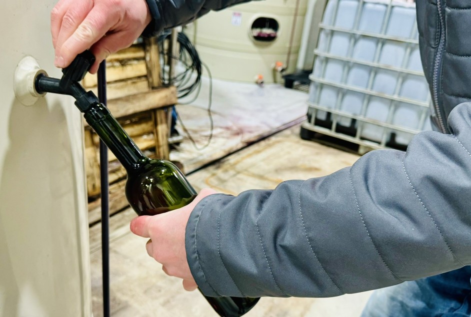 Inscrições abertas para a 24ª Seleção dos Melhores Vinhos, Espumantes e Sucos de Uva de Garibaldi