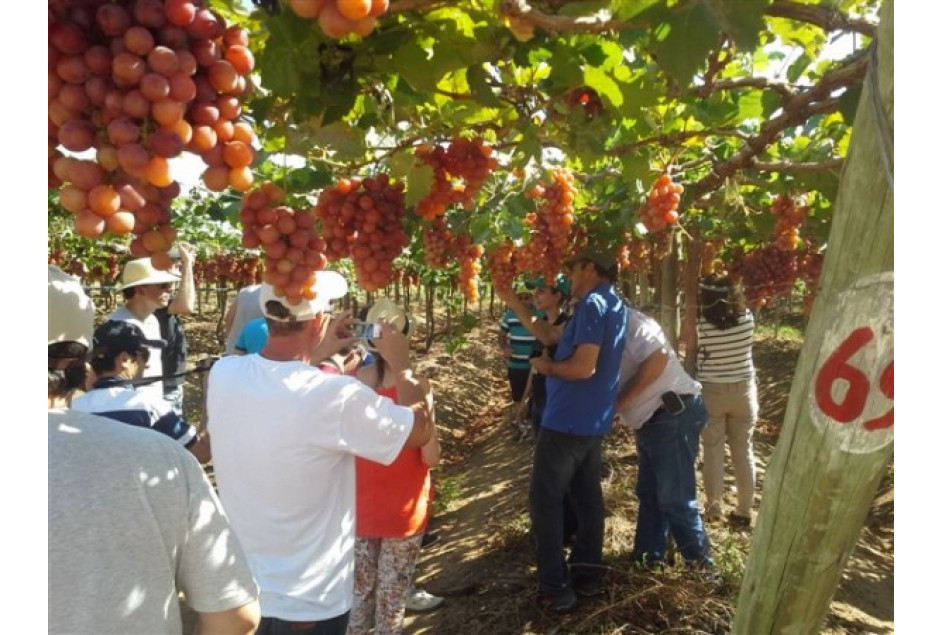 Associados da AVIGA visitam o Vale do São Francisco