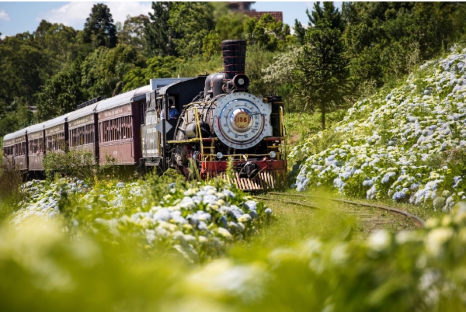 Promoção incentiva passeio da Maria Fumaça aos moradores