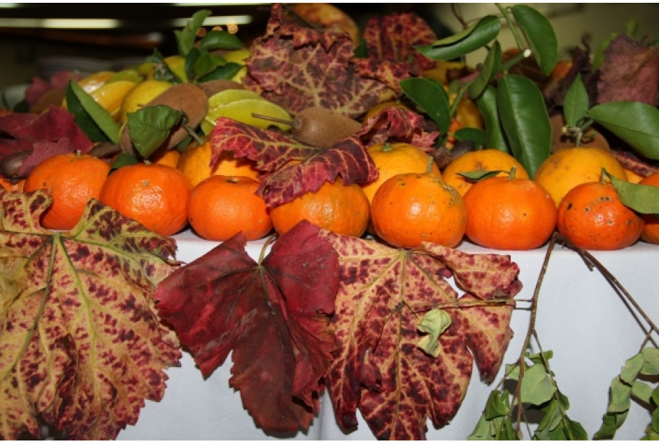 Jantar “Aromas e Sabores” festeja 3ª edição