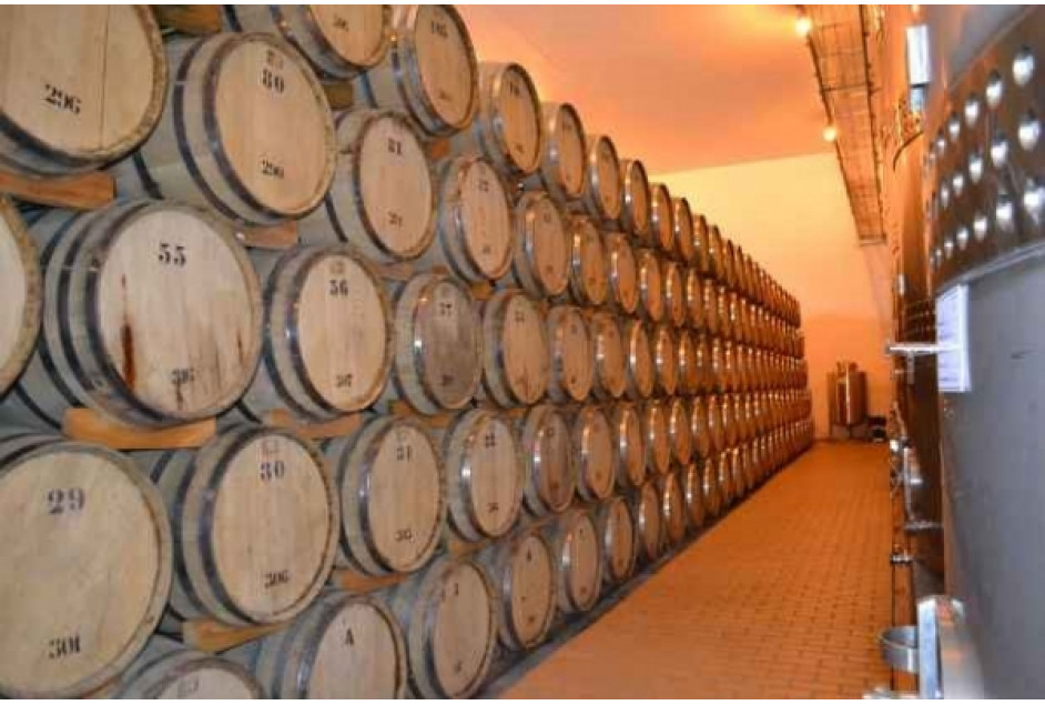 AVIGA realiza viagem técnica para Petrolina/PE