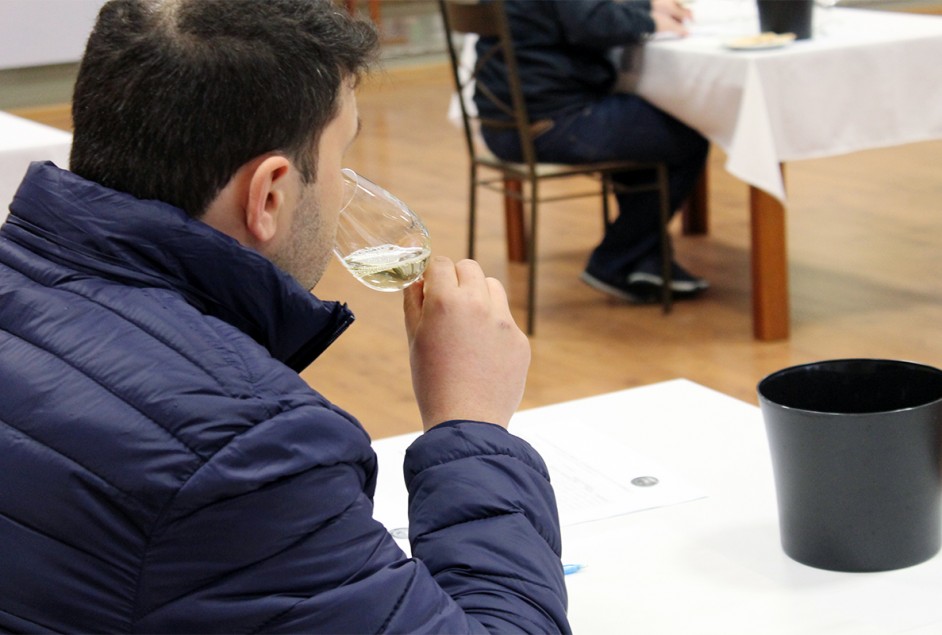 Fotos da 2ª etapa (coleta) e da 3ª etapa (degustações de avaliação) - Créditos: Fernanda De Antoni Farias