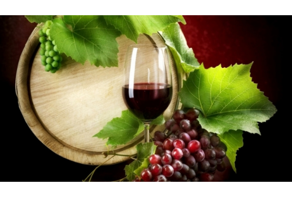 AVIGA traz palestra Enoturismo na Espanha